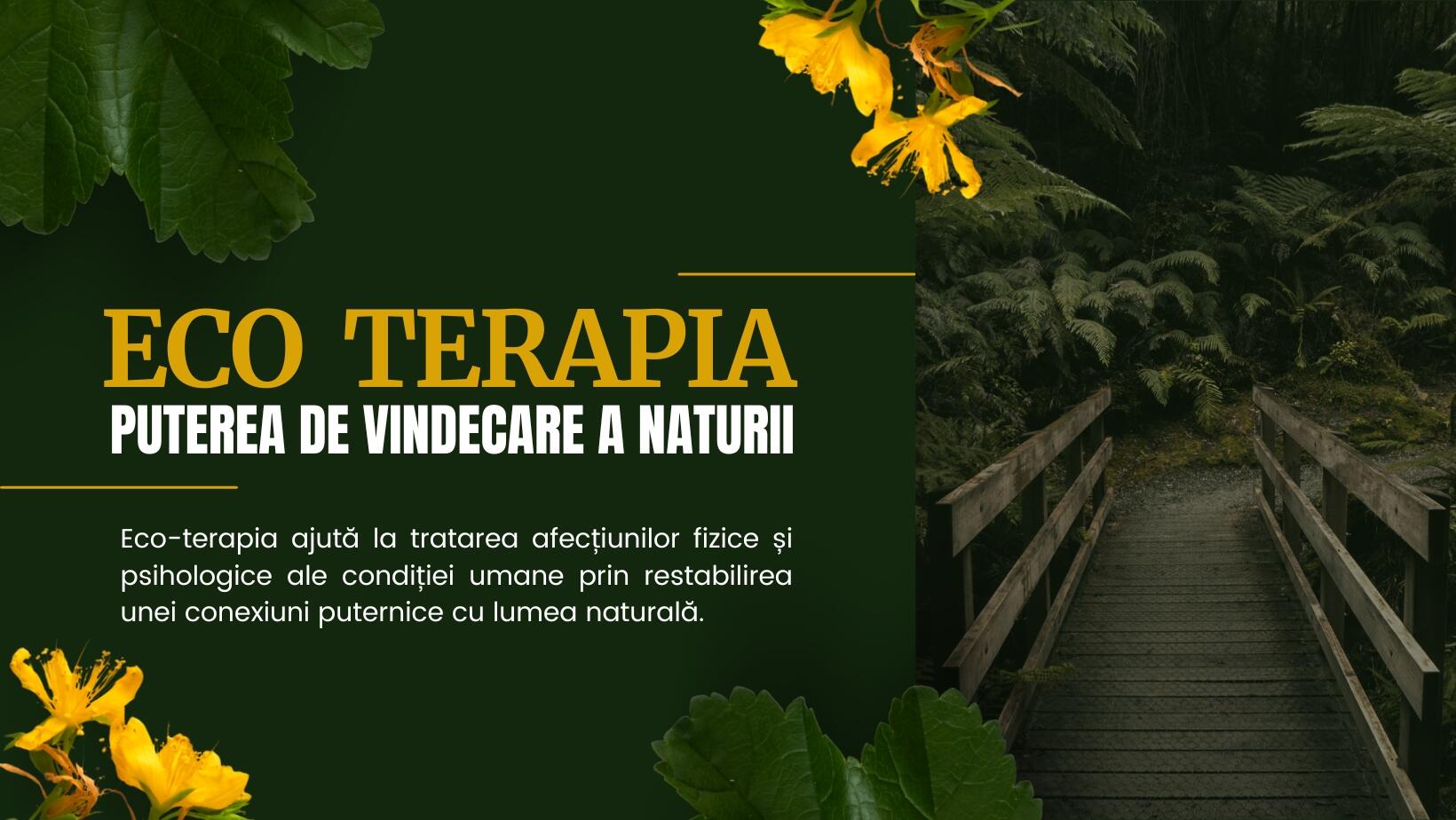 Eco-terapia: puterea de vindecare a naturii